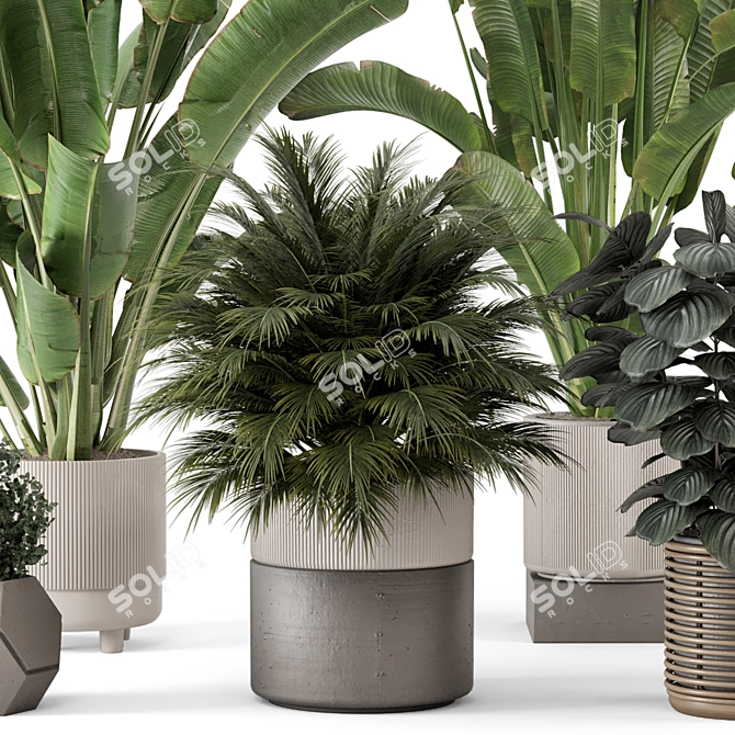  Artisan Stone Pot Indoor Plants 3D model image 2