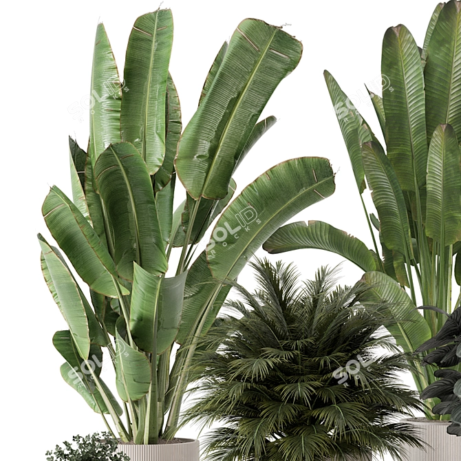  Artisan Stone Pot Indoor Plants 3D model image 4