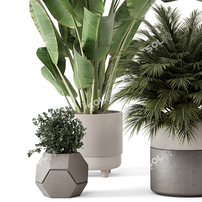  Artisan Stone Pot Indoor Plants 3D model image 5