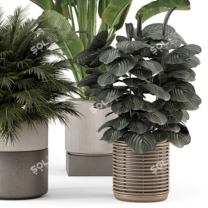  Artisan Stone Pot Indoor Plants 3D model image 6