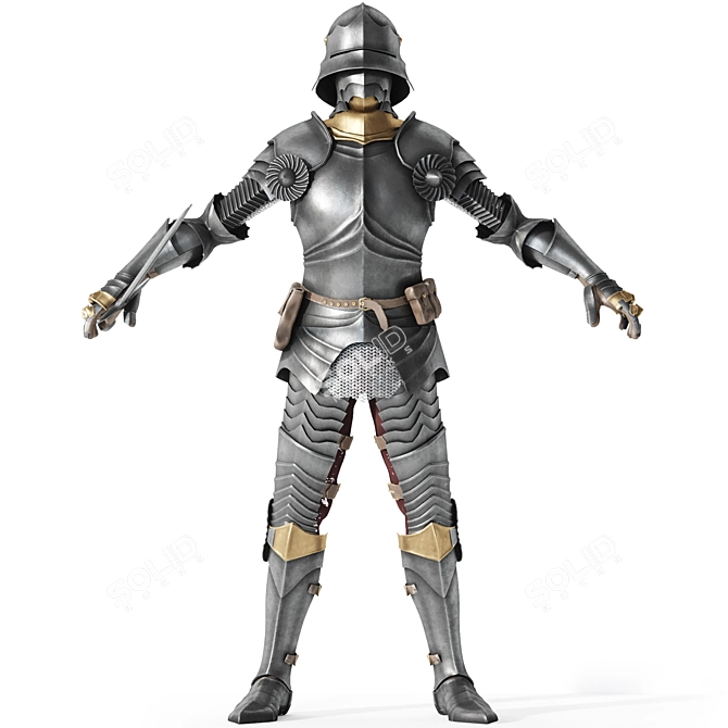 Gothic German Armor Replica 3D model image 4