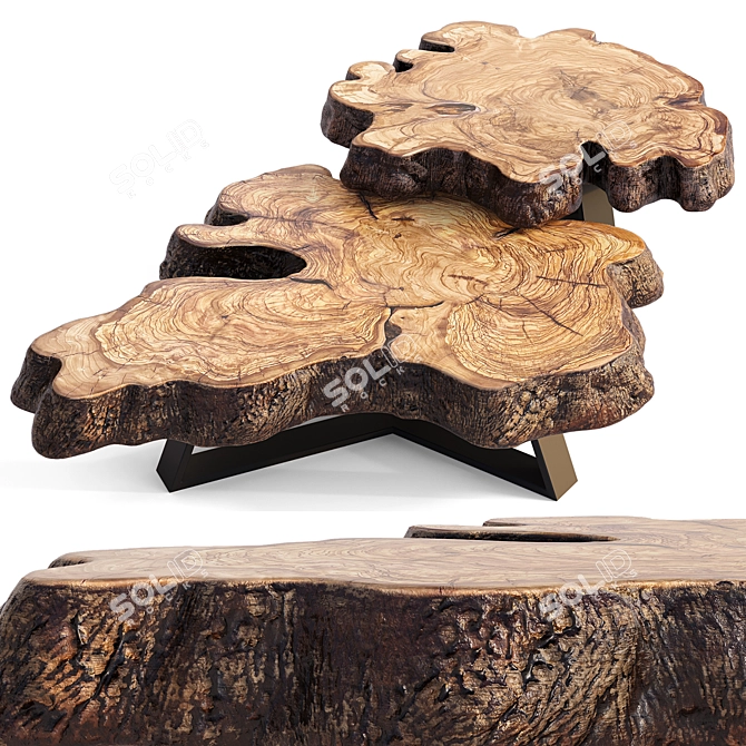 Natural Wood Coffee Tables 3D model image 1