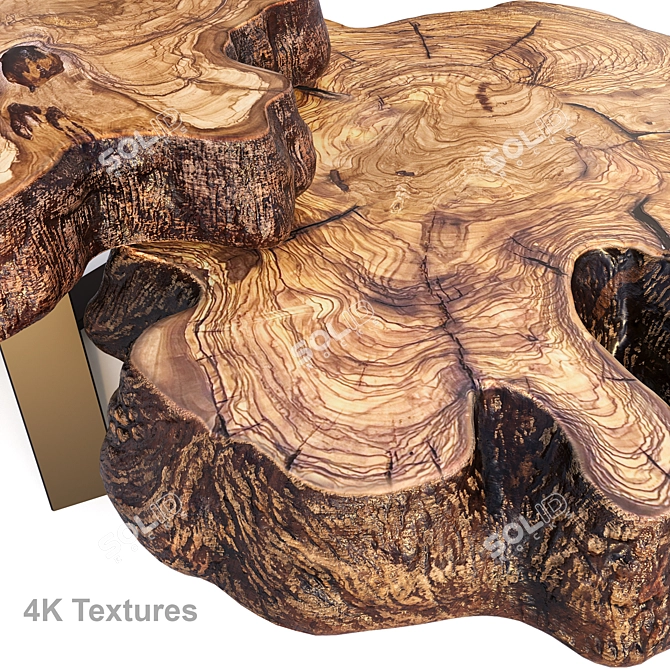 Natural Wood Coffee Tables 3D model image 6