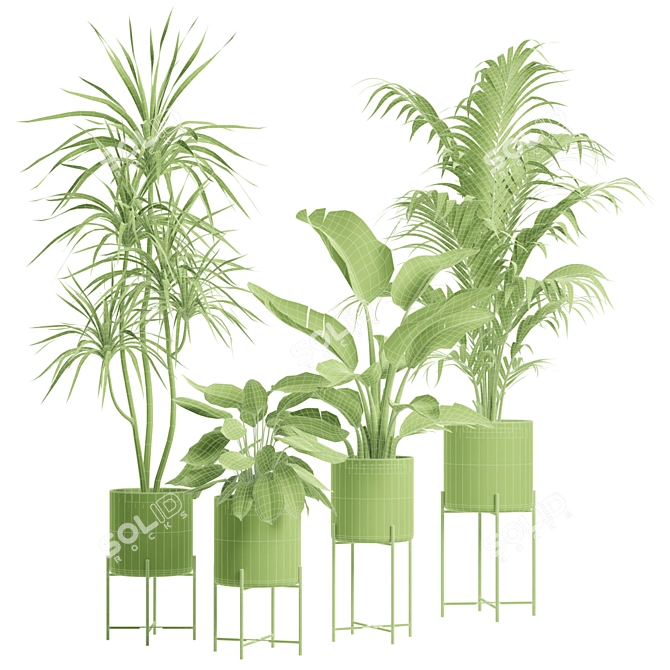 Exotic Indoor Plants Collection 3D model image 3