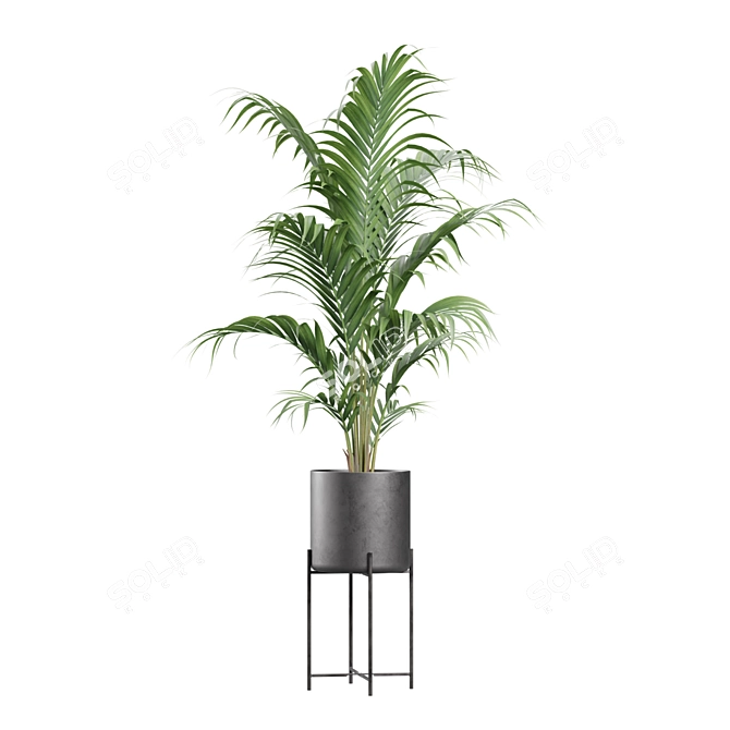 Exotic Indoor Plants Collection 3D model image 7