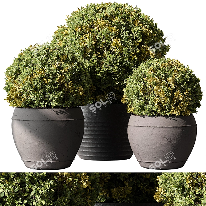 Garden Decor Topiary Ball 624 3D model image 1