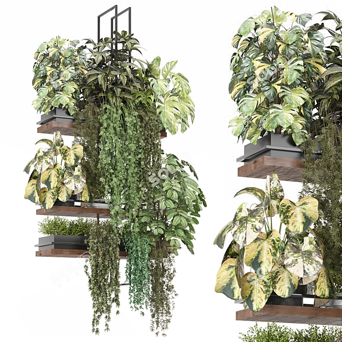  Metal Box Hanging Plant Set 3D model image 1