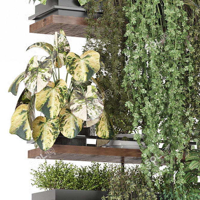  Metal Box Hanging Plant Set 3D model image 2