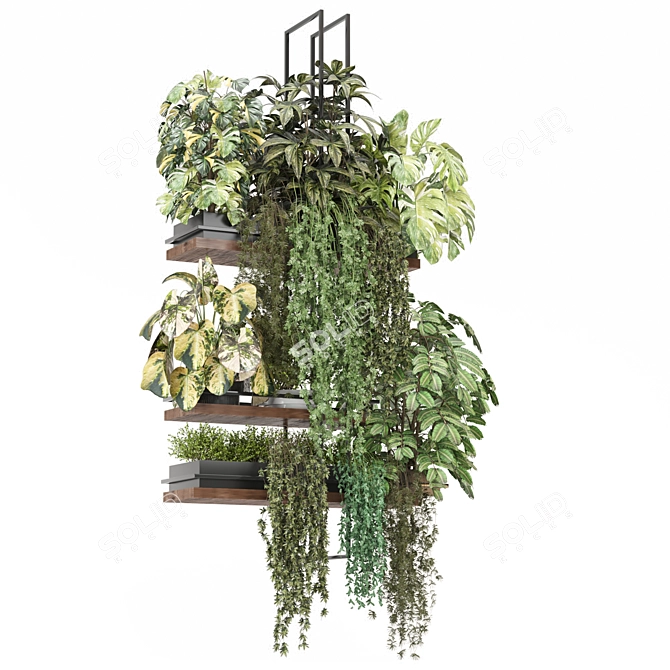  Metal Box Hanging Plant Set 3D model image 5