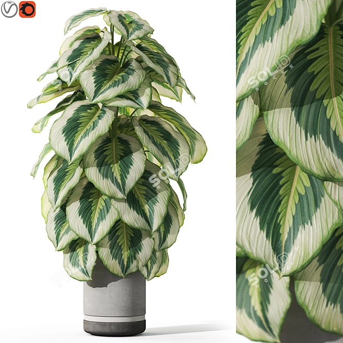 Botanical Bliss Collection 1085 3D model image 1