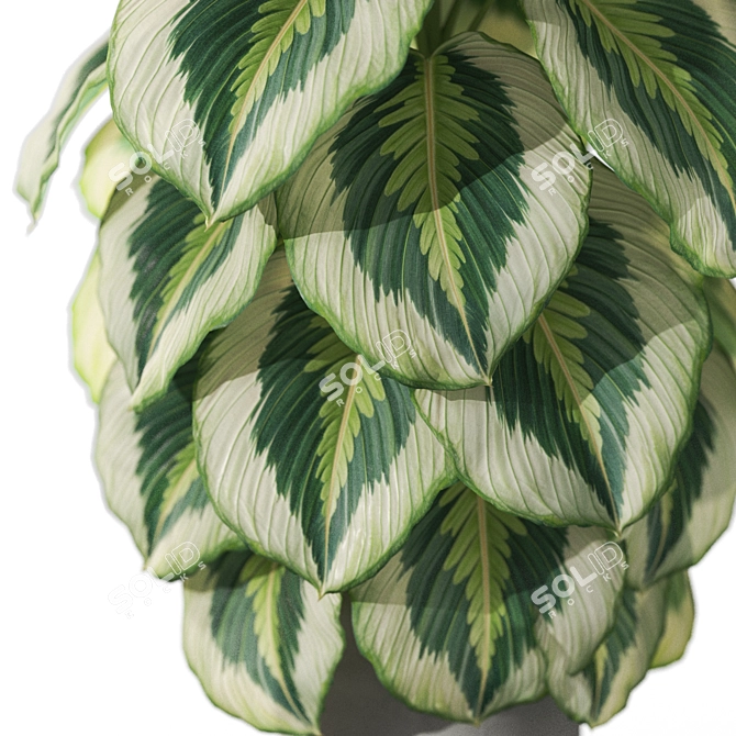 Botanical Bliss Collection 1085 3D model image 2