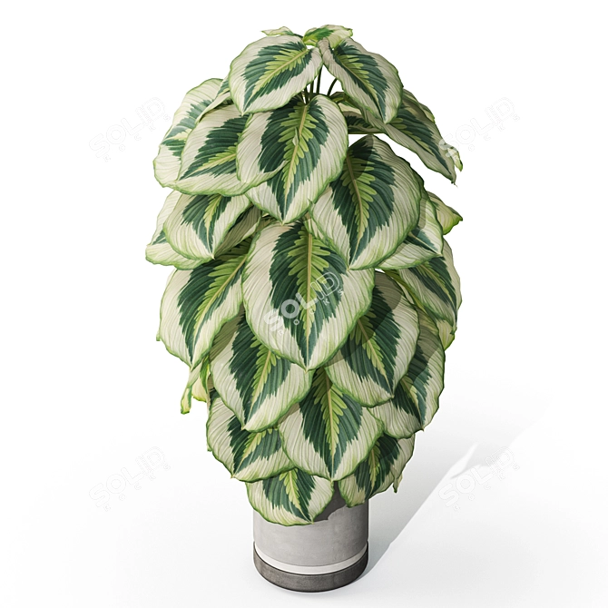 Botanical Bliss Collection 1085 3D model image 3