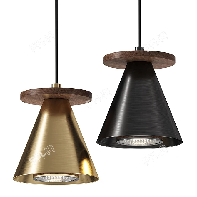 Piet Cone Wood Pendant Lamp 3D model image 1