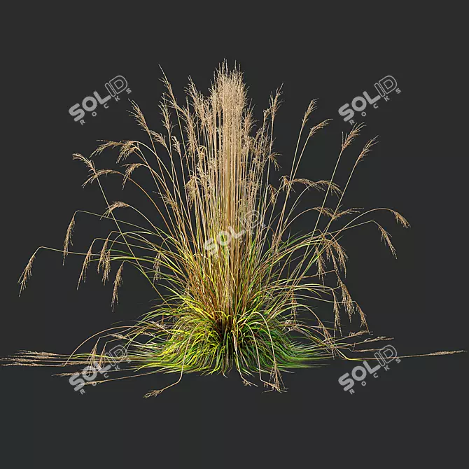 Fireside Grass Bundle Set 3D model image 2