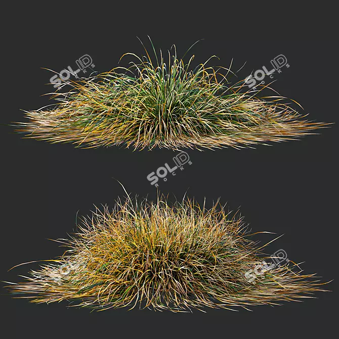 Fireside Grass Bundle Set 3D model image 3