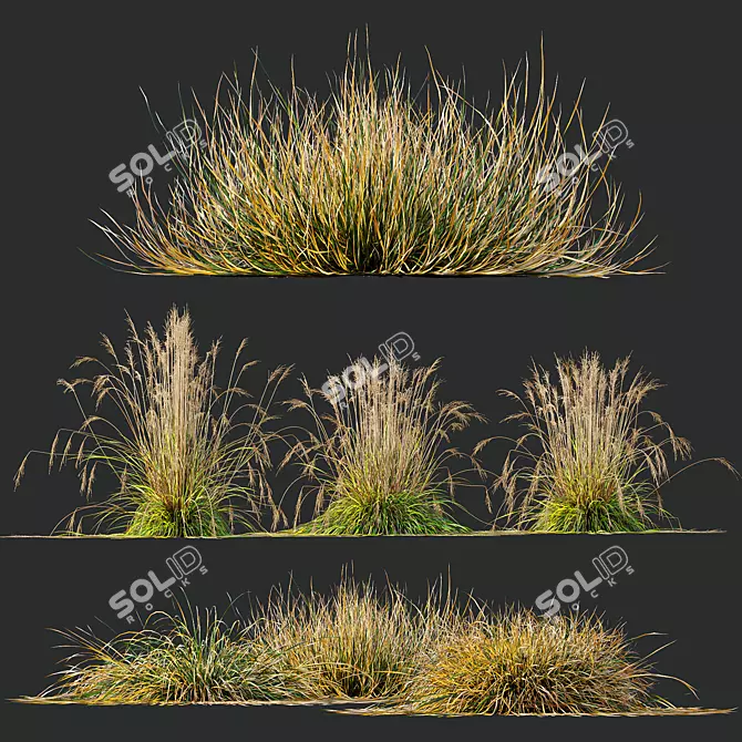 Fireside Grass Bundle Set 3D model image 4