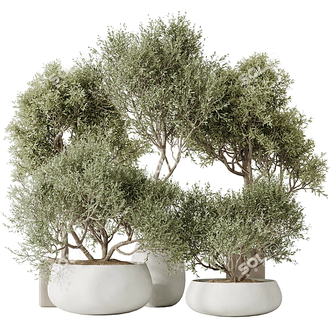 Modern Indoor Plant Set Collection 3D model image 1