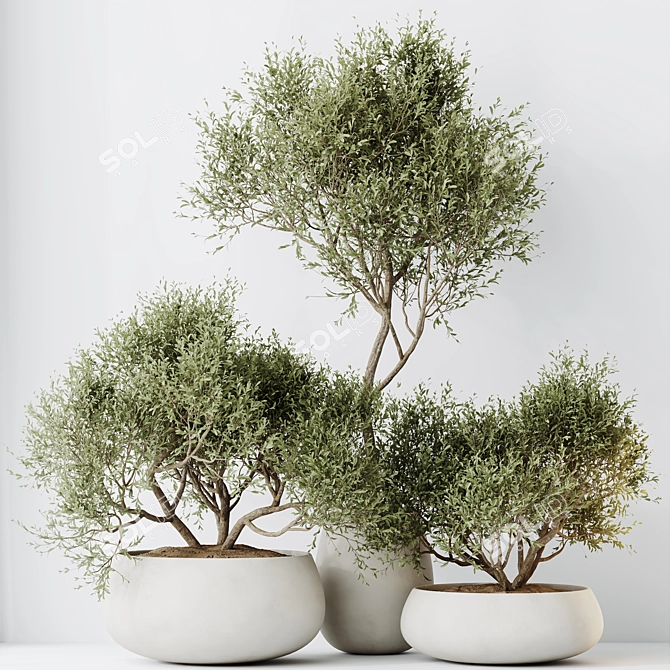 Modern Indoor Plant Set Collection 3D model image 6