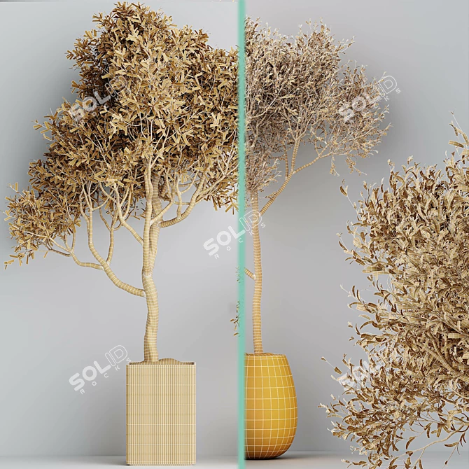 Modern Indoor Plant Set Collection 3D model image 7