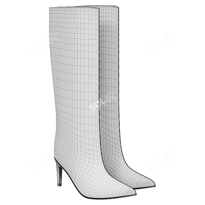 Premium Women's Transitional Boots 3D model image 2