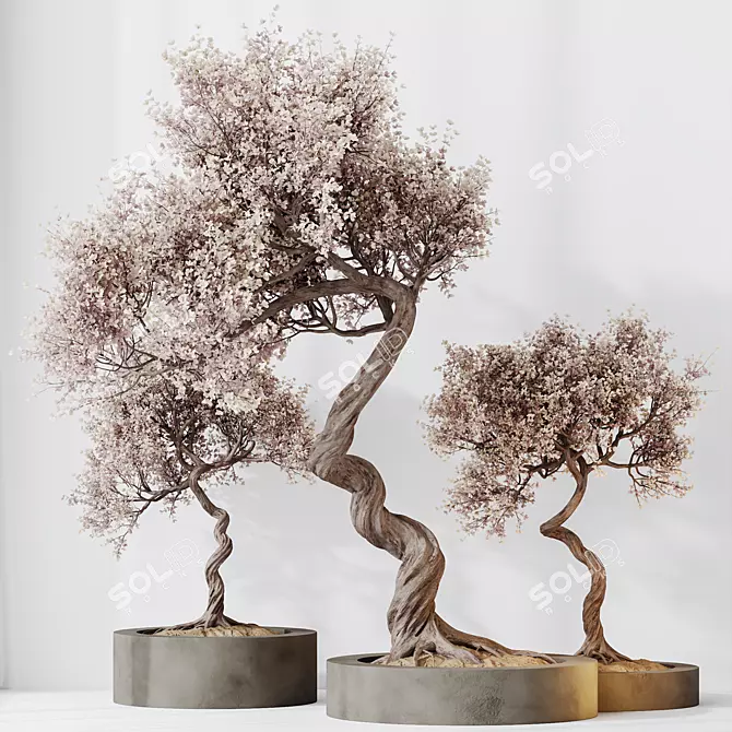 Modern Olive Tree Set 3D 3D model image 4