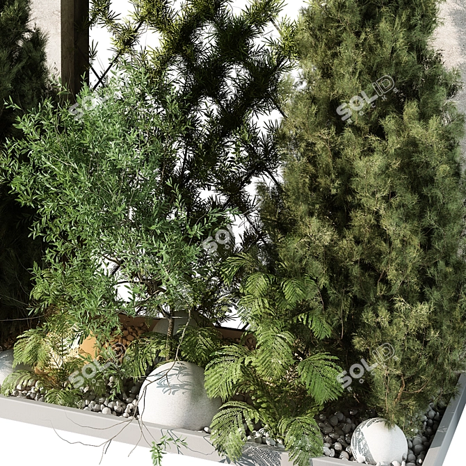 Large Outdoor Plant 3D Model 3D model image 2