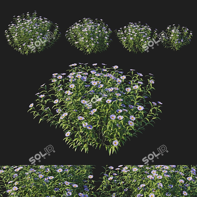 Aster Bush 3D Model Kit 3D model image 1