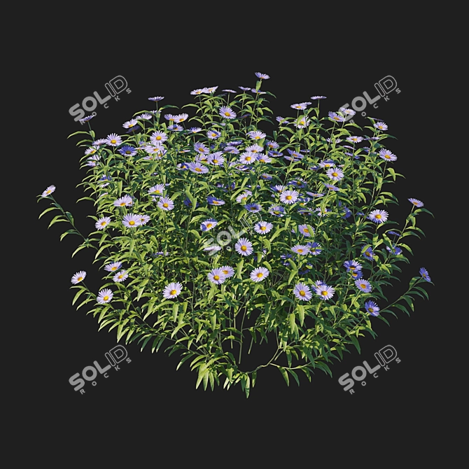 Aster Bush 3D Model Kit 3D model image 3