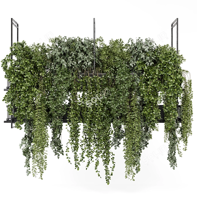 Metal Box Hanging Plant Set 3D model image 2