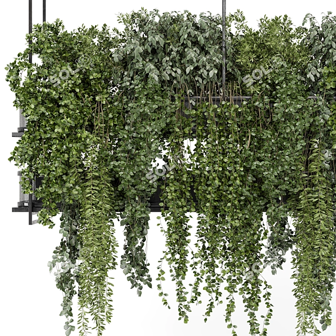 Metal Box Hanging Plant Set 3D model image 5