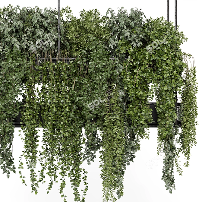 Metal Box Hanging Plant Set 3D model image 6