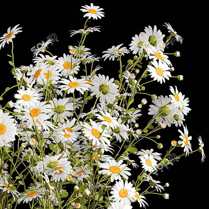 Summer Wildflower Bouquet Set 3D model image 2