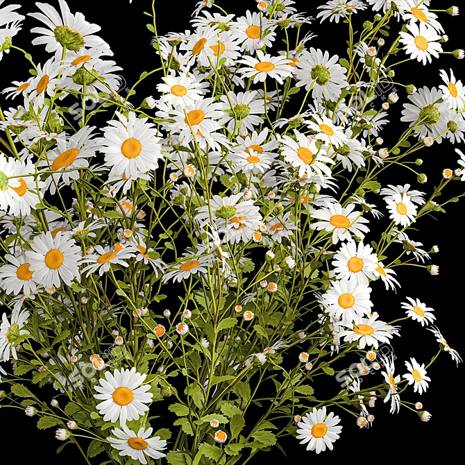 Summer Wildflower Bouquet Set 3D model image 6