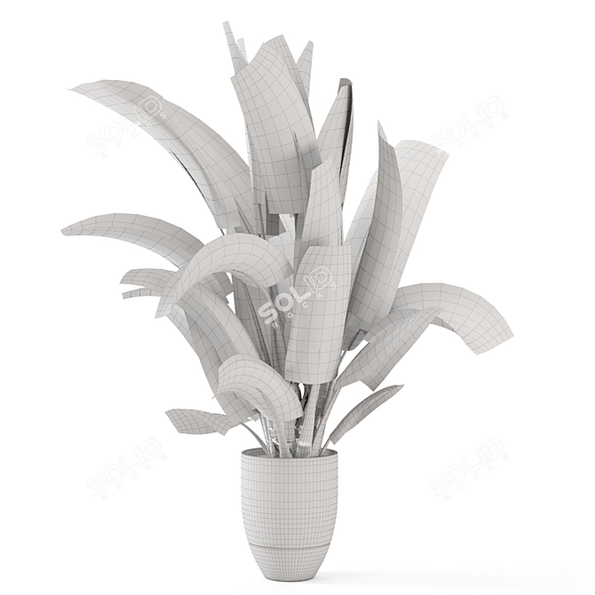 Modern Indoor Plant Black Pot 3D model image 6