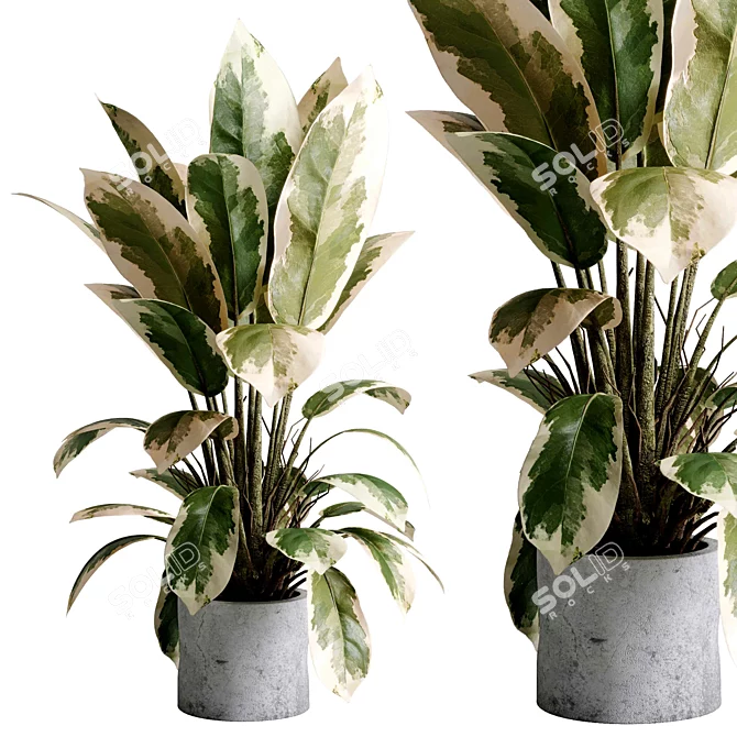 Concrete Indoor Plant Set 495 3D model image 1