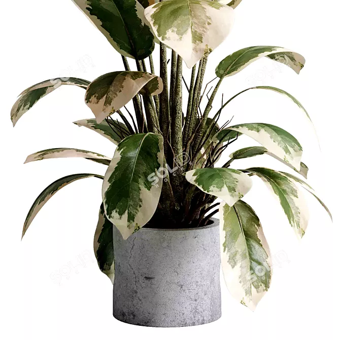 Concrete Indoor Plant Set 495 3D model image 4