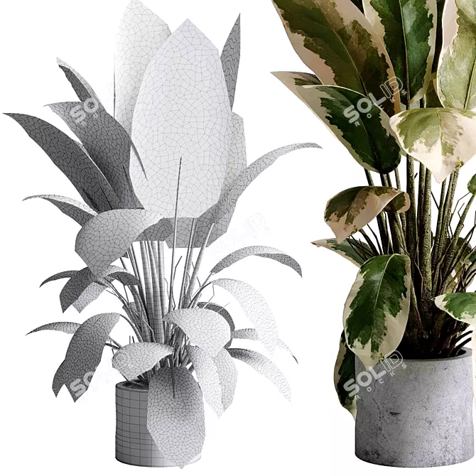 Concrete Indoor Plant Set 495 3D model image 5