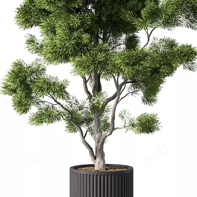 Modern Indoor Plant Collection 3D model image 2