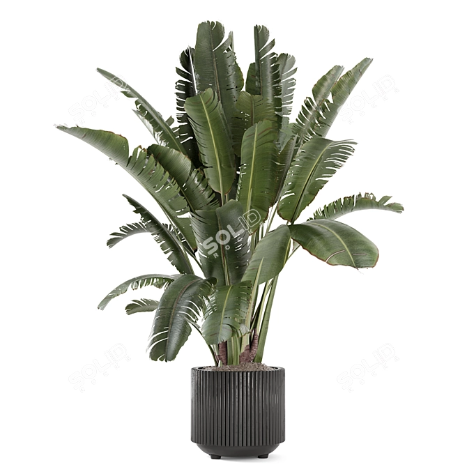 Black Pot Indoor Plant Set 3D model image 3