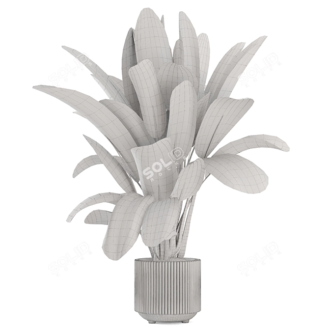 Black Pot Indoor Plant Set 3D model image 4