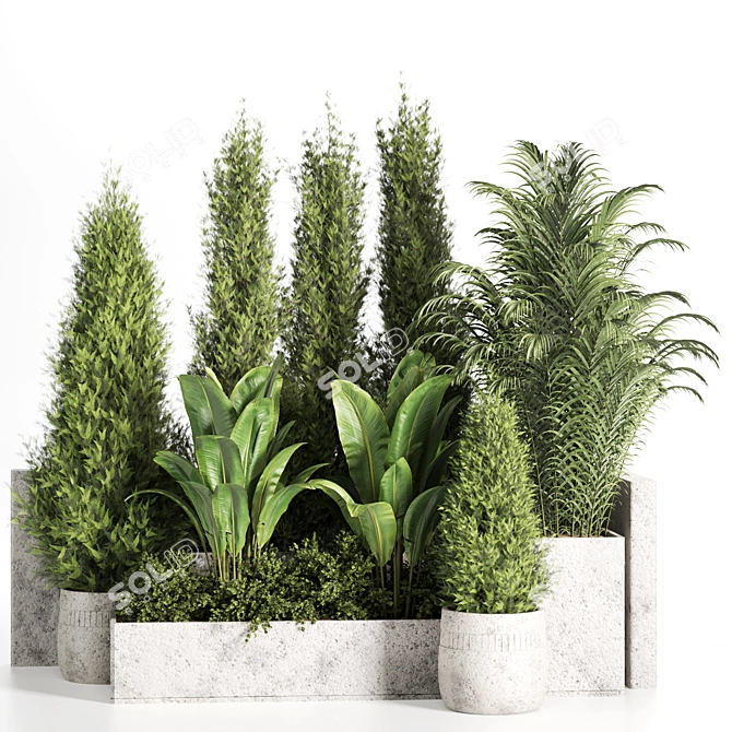 High-Quality Outdoor Plants Set 3D model image 1