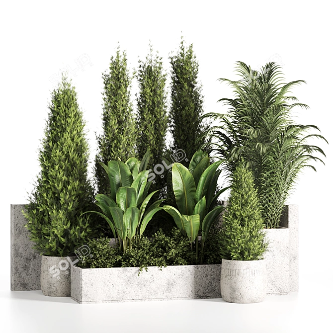 High-Quality Outdoor Plants Set 3D model image 2