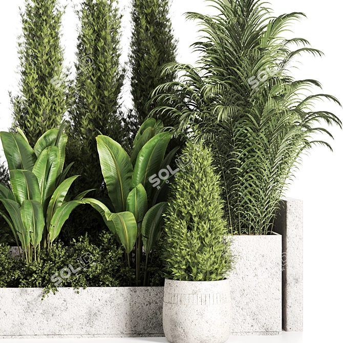 High-Quality Outdoor Plants Set 3D model image 3