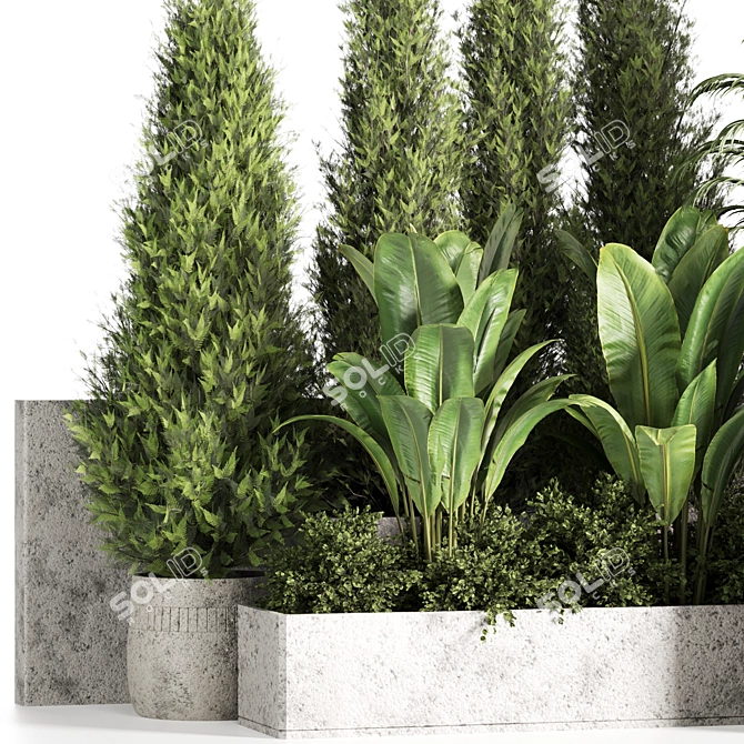 High-Quality Outdoor Plants Set 3D model image 4