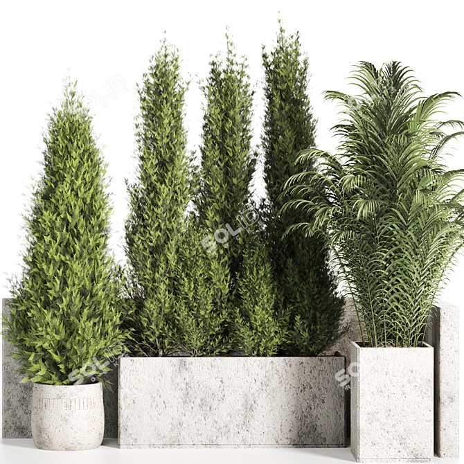 High-Quality Outdoor Plants Set 3D model image 5