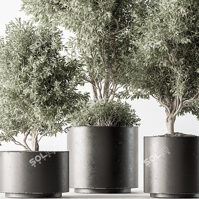 Olive Tree Indoor Plant 730 3D model image 3