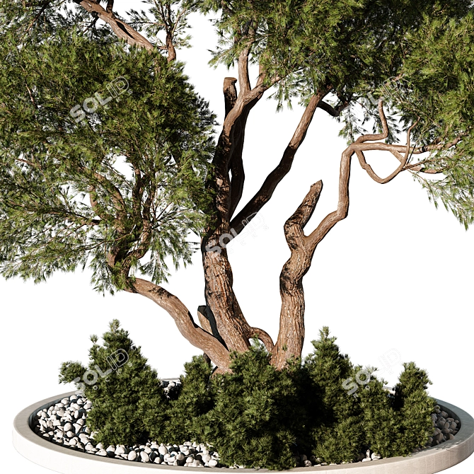 Outdoor Plant 184 3D Model 3D model image 2