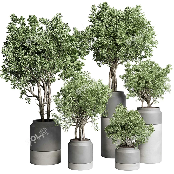 Concrete Vase Plant Set 491 3D model image 1