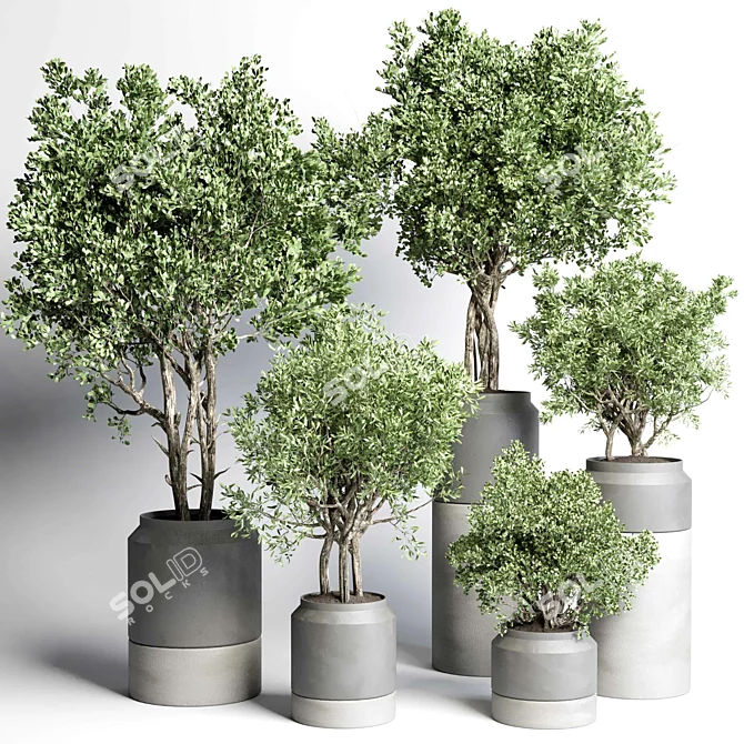 Concrete Vase Plant Set 491 3D model image 2