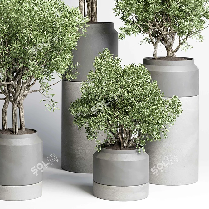 Concrete Vase Plant Set 491 3D model image 6